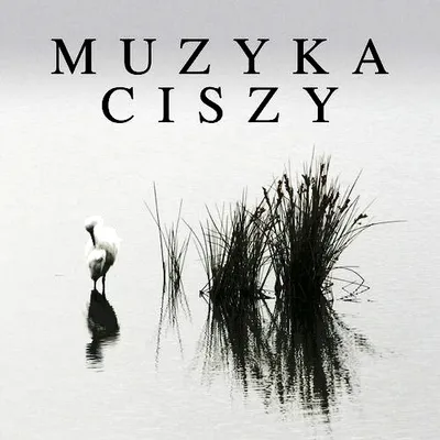 VA - Muzyka ciszy (2019) FLAC