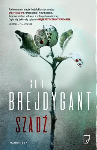 Igor Brejdygant - Szadź (2017) [Ebook PL]