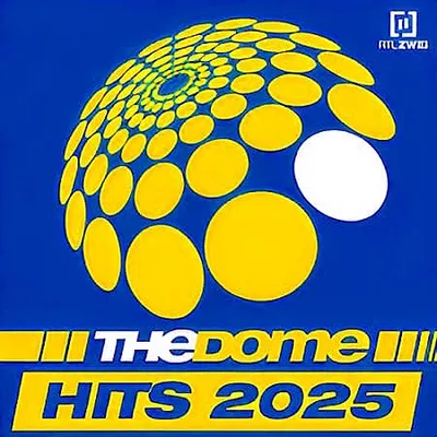 VA - The Dome Summer (2025) MP3