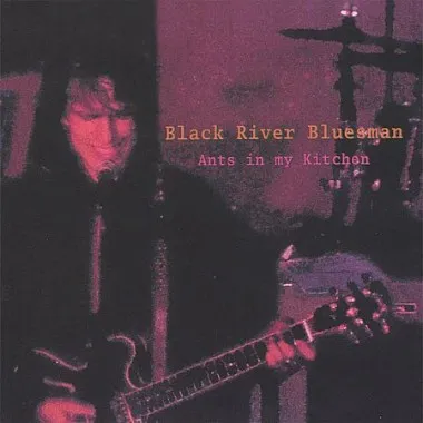 Black River Bluesman - Ants In My Kitchen (2005)