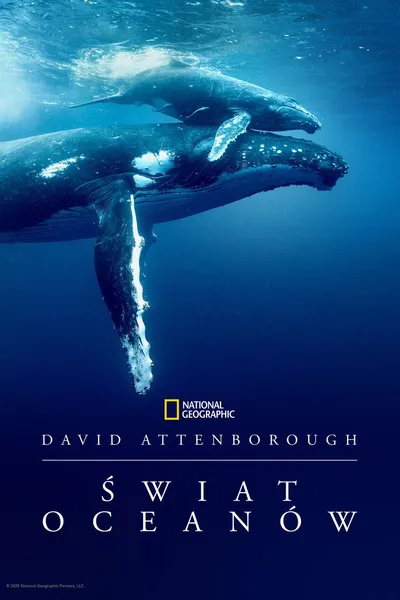 David Attenborough: Świat oceanów / Ocean with David Attenborough (2025) PL.720p.DSNP.WEB-DL.DDP5.1.H.264-P2P / Lektor PL