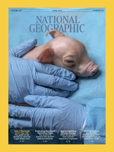 National Geographic USA - June 2025