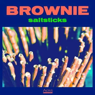 Brownie - Saltsticks (2024)