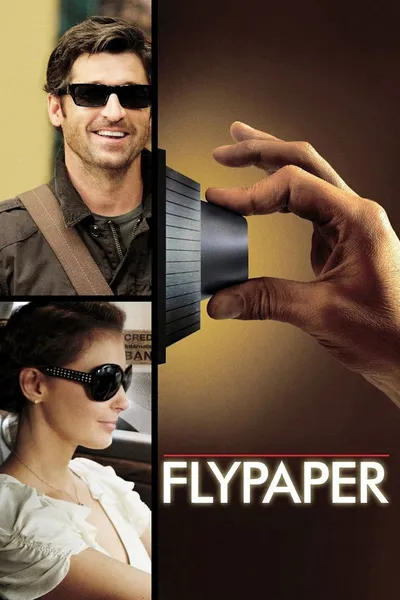 Lep na muchy / Flypaper (2011) MULTi.1080p.BluRay.REMUX.AVC.DTS-HD.MA.5.1-LTS ~ Lektor i Napisy PL