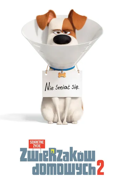 Sekretne życie zwierzaków domowych 2 / The Secret Life of Pets 2 (2019) MULTi.1080p.BluRay.x264.AC3-KLiO / Dubbing PL