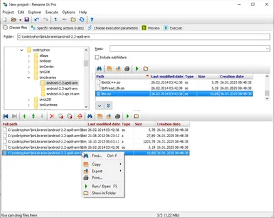 Rename Us Pro 5.0.0.1334