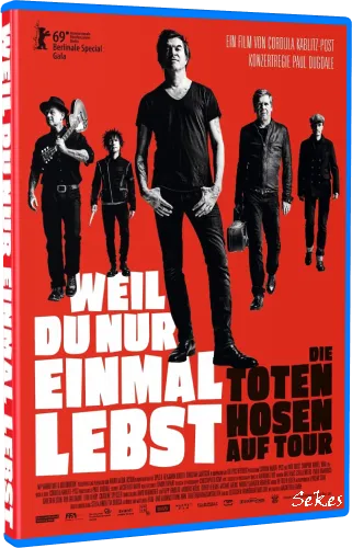 Die Toten Hosen auf Tour - Weil du nur einmal lebst (2019, BDRip 1080p)