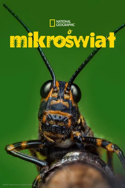 Mikroświat / A Real Bug's Life (2025) (Sezon 2) MULTi.720p.DSNP.WEB-DL.H264.DDP5.1.Atmos-K83 / Lektor i Napisy PL