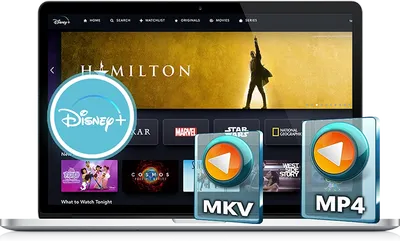 Pazu Disney Plus Video Downloader 1.6.0 (x64)