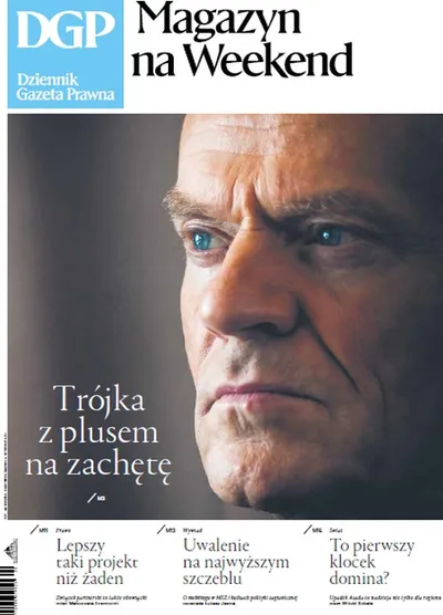 Dziennik Gazeta Prawna 13.12.2024