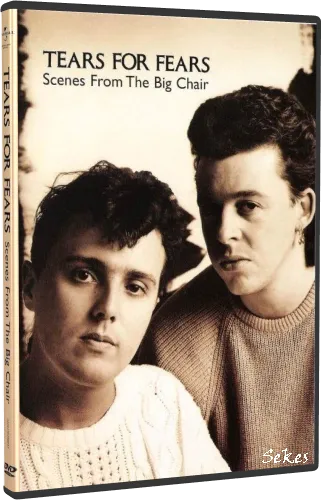 Tears For Fears - Scenes From The Big Chair (2014, DVD9)