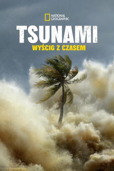 Tsunami: Wyścig z czasem / Tsunami: Race Against Time (2024) (Sezon 1) PL.720p.DSNP.WEB-DL.DD5.1.H.264-raven ~ Lektor PL