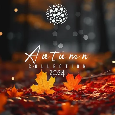 VA - Autumn Collection 2024 (2024)