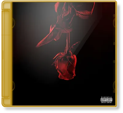 Pablo Novacci - RNB (2024)