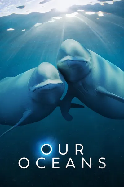 Nasze oceany / Our Oceans (2024) (Sezon 1) MULTi.1080p.NF.WEB-DL.H264.DDP5.1.Atmos-K83 / Lektor i Napisy PL