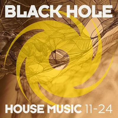 VA - Black Hole House Music 11-24 (2024)