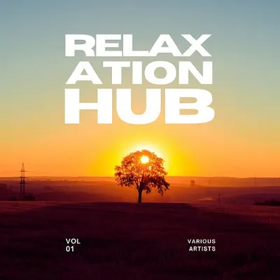 Relaxation Hub Vol. 1 (2024)