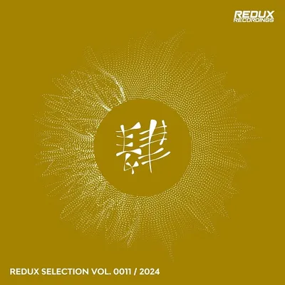 VA - Redux Selection Vol. 11 (2024)