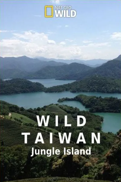 Dziki Tajwan: nieznana wyspa / Wild Taiwan: Jungle Island (2018) PLDOK.1080p.WEB-DL.X264-Kbuso | Lektor PL