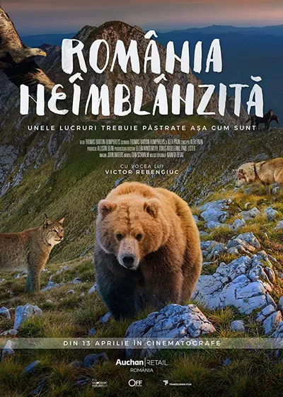 Dzika Rumunia / Untamed Romania (2018) PL.720p.WEB-DL.x264-KBUSO | Lektor PL