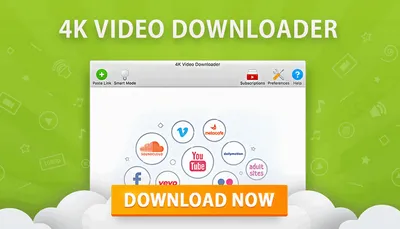 4K Video Downloader 4.33.0 (x86/x64) MULTi-PL