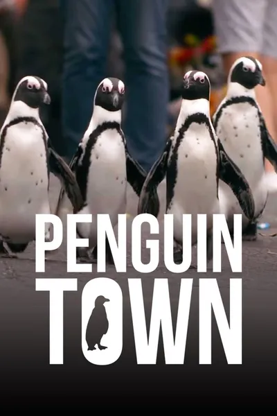 Miasto pingwinów / Penguin Town (2021) (Sezon 1)  DOCU.MULTi.1080p.NF.WEB-DL.DDP5.1.H264-Ralf | Lektor i Napisy PL