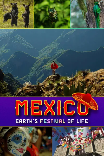 Dziki Meksyk / Mexico: Earth's Festival of Life (2017) {sezon 1} PL.1080p.WEb-DL.X264-Kbuso | Lektor PL