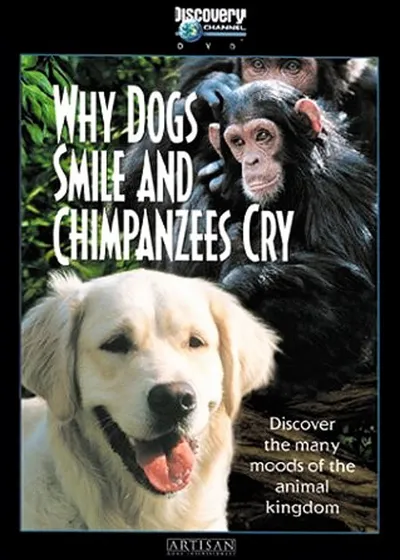 Dlaczego psy się śmieją, a szympansy płaczą / Why Dogs Smile & Chimpanzees Cry (1999) PL.WEB-DL.XviD-noGrp | Lektor PL