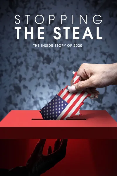 Stopping the steal (2024) MULTi.720p.MAX.WEB-DL.H264.DDP5.1.DDP2.0-K83 / Polski Lektor i Napisy PL