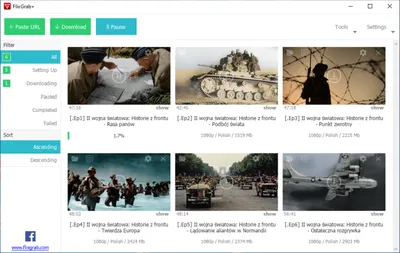 FlixGrab Plus 1.8.0.2288 Premium