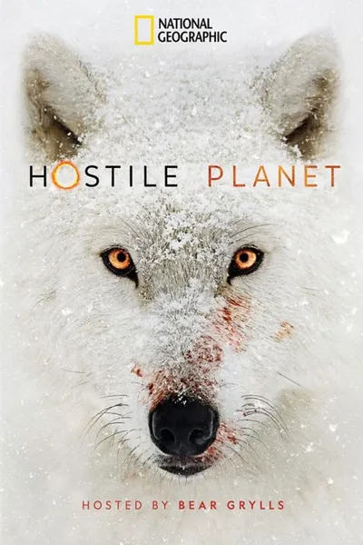 Wrogi świat / Hostile Planet (2019) {Sezon 1} PL.720p.WEB-DL.X264-Kbuso | Lektor PL