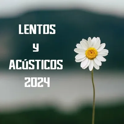VA - Lentos y acusticos (2024) FLAC