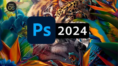 Adobe Photoshop 2024 v25.7.0 [MacOS]