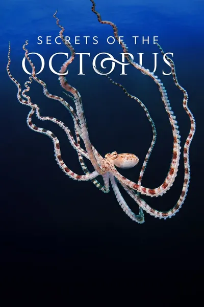 Sekretne życie ośmiornic / Secrets of the Octopus (2024) {Sezon 1} 720p.DSNP.WEB-DL.DD2.0.H.264-raven | Lektor i Napisy PL