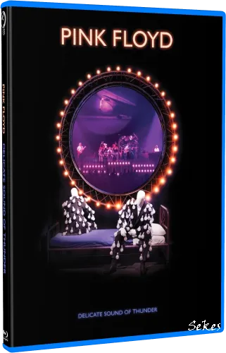 Pink Floyd - Delicate Sound Of Thunder (2020, BDRip 1080p)