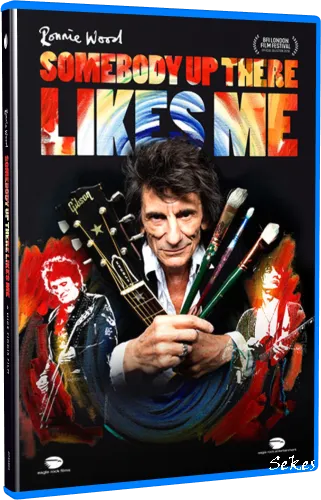 Ronnie Wood - Somebody Up There Likes Me (2020, Blu-ray)