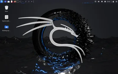 Kali Linux 2024.2