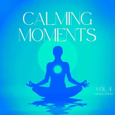 VA - Calming Moments, Vol 4 (2024) FLAC