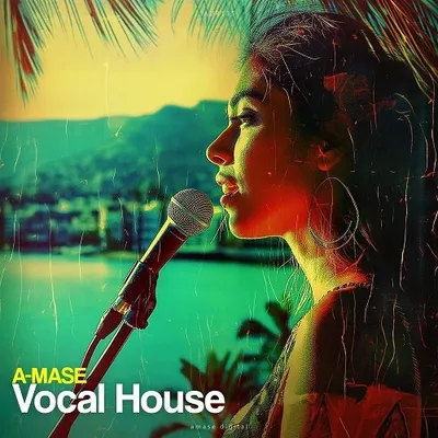 VA - A-Mase - Vocal House (2024)