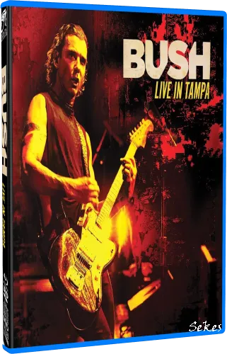 Bush - Live In Tampa (2020, Blu-ray)
