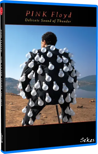 Pink Floyd - Delicate Sound of Thunder 1989 (2019, BDRemux)