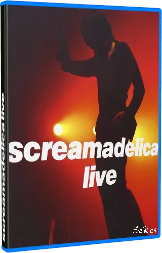 Primal Scream - Screamadelica Live (2011, Blu-ray)