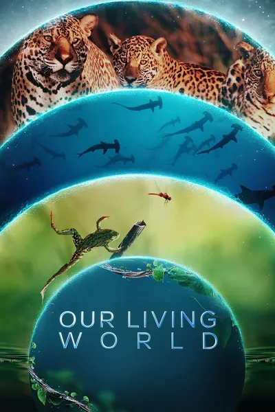 Nasz pełny życia świat / Our Living World (2024) (Sezon 1) PL.NF.WEB-DL.x264.DDP5.1-K83 / Lektor PL