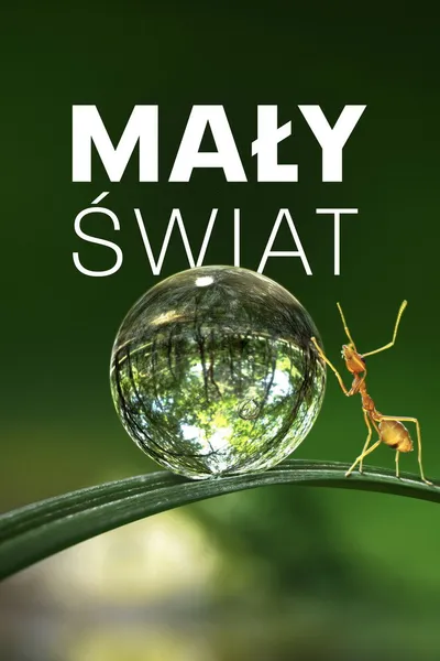 Mały świat / Tiny World (2020-2021) {Sezon 1-2} PLSUB.1080p.ATVP.WEB-DL.DDP5.1.H.264-NTb / Napisy PL