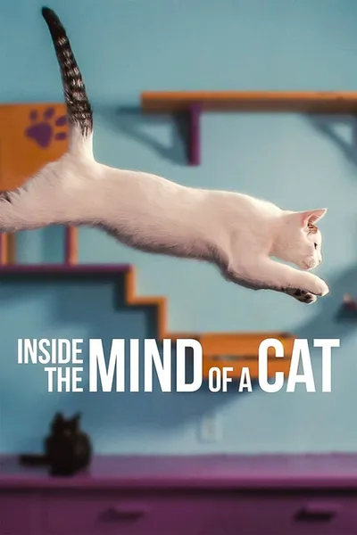 W głowie kota / Inside the Mind of a Cat (2022) PL.NF.WEB-DL.H264.DDP5.1-K83 / Lektor PL