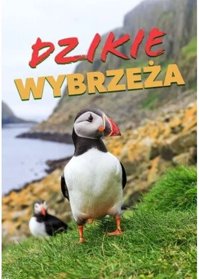 Dzikie wybrzeża / Wild Ways of the Coast (2019) PL.1080p.WEB-DL.H.264-XuploaD / Lektor PL