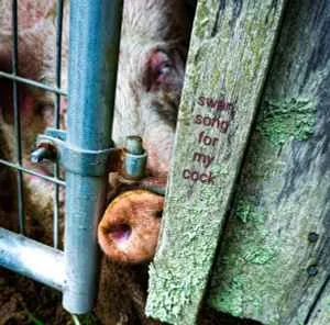 Hater Mode - Hate Is All You Need (2025)