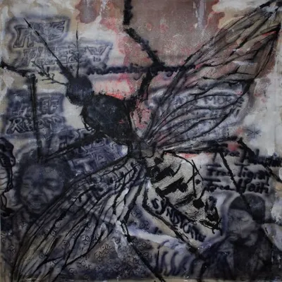 Niontay, Earl Sweatshirt - Soulja Hate Repellant (2025)