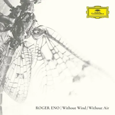 Roger Eno, Grace Davidson - Without Wind, Without Air (2025)