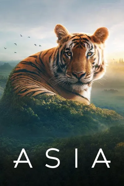 Azja / Asia (2024) (Sezon 1) PL.1080i.HDTV.x264-A / Lektor PL
